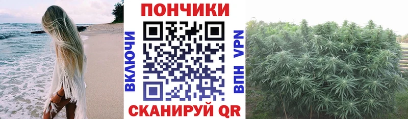 Купить закладку ГАШ  Cocaine  Alpha PVP  Бошки Шишки  МЕФ  Южно-Сухокумск
