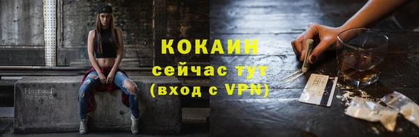дурь Каменка