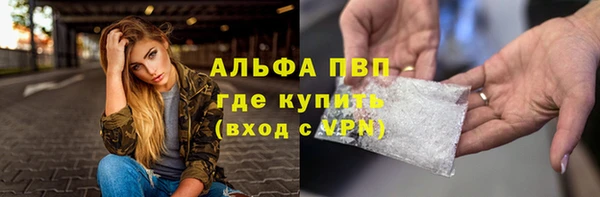 дживик Каменногорск