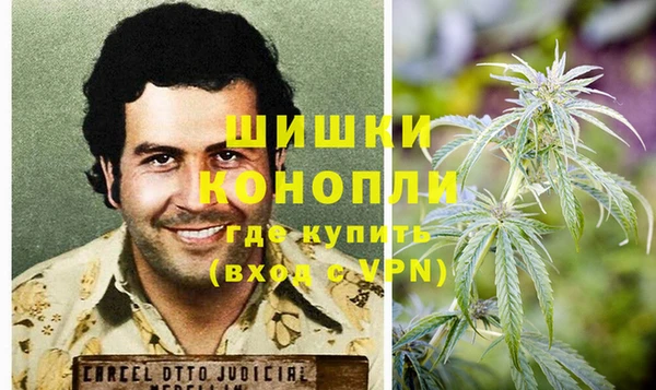 дурь Каменка