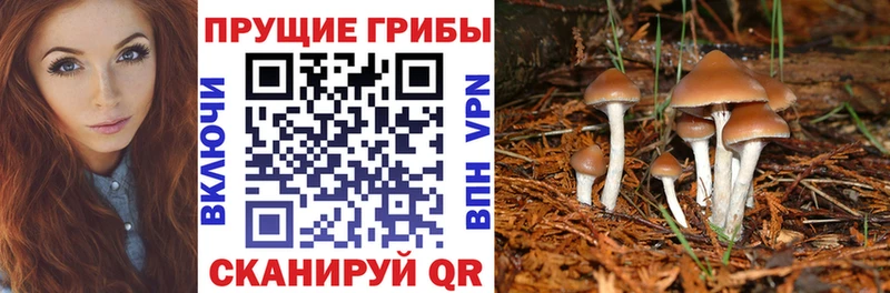 Галлюциногенные грибы мухоморы  Купить  Южно-Сухокумск 